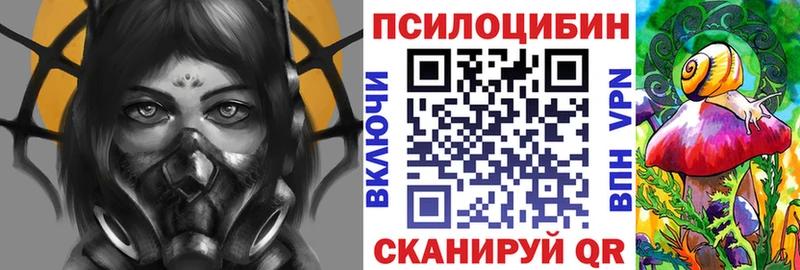 Купить где  Губкинский  Галлюциногенные грибы ЛСД 